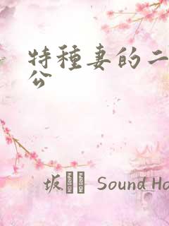 特种妻的二手老公