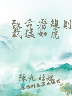 致命潜规则 总裁猛如虎