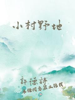 小村野地