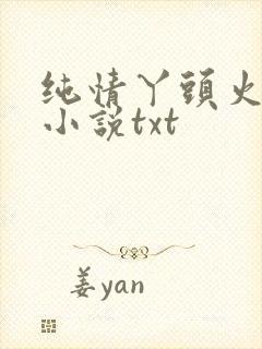纯情丫头火辣辣小说txt