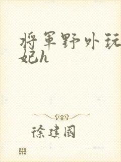 将军野外玩弄贵妃h