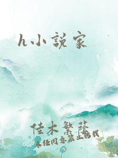 h小说家
