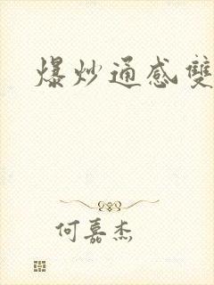 爆炒通感双胞胎