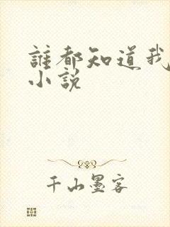 谁都知道我爱你小说