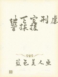 地下室刑虐女刑警揉搓