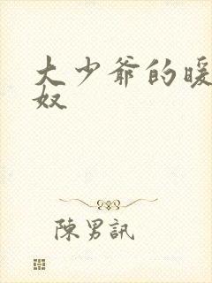 大少爷的暖床小奴