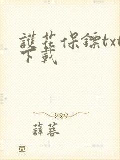 护花保镖txt下载