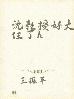 沈教授好大含不住了h