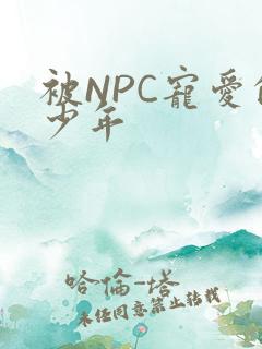 被NPC宠爱的少年