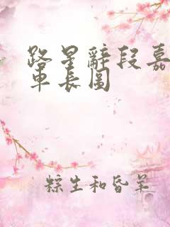 路星辞段嘉衍肉车长图