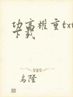 功高权重txt下载