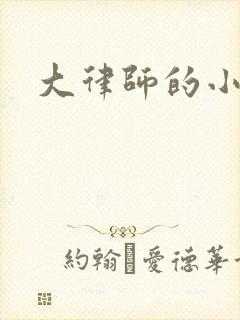 大律师的小老婆