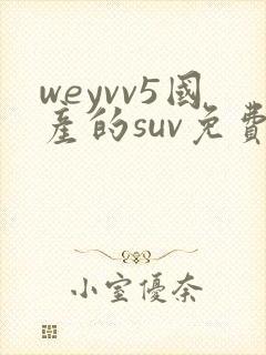 weyvv5国产的suv免费