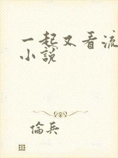一起又看流星雨小说