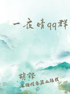 一夜晴qq群