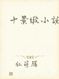 十景缎小说