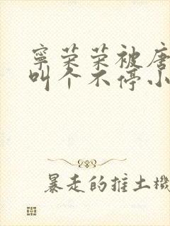 宁荣荣被唐三桶叫个不停小说