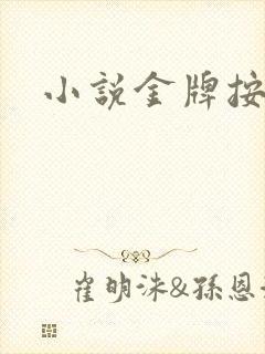 小说金牌按摩师