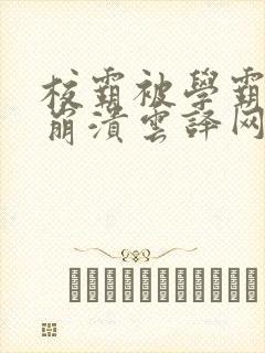 校霸被学霸玩到崩溃云译网