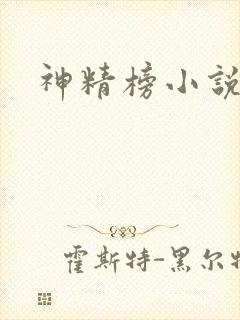 神精榜小说