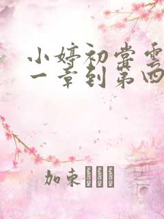 小婷初尝云雨第一章到第四章