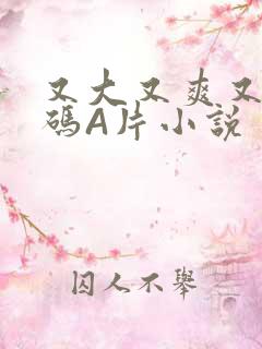 又大又爽又黄无码A片小说