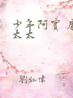 少年阿宾 房东太太