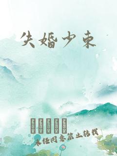 失婚少东