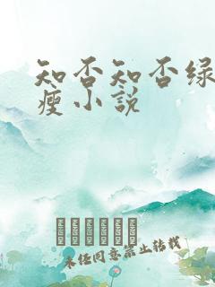 知否知否绿肥红瘦小说