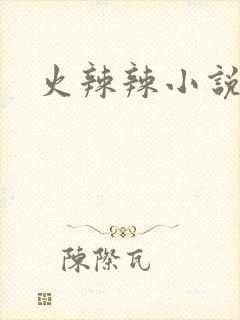 火辣辣小说全集