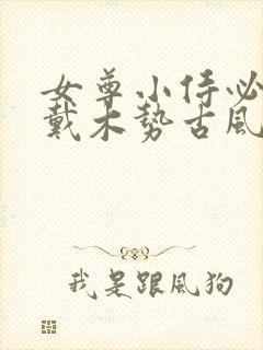 女尊小侍必须佩戴木势古风