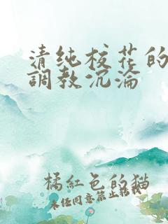 清纯校花的堕落调教沉沦