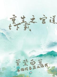 重生之官道txt下载