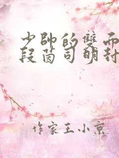 少帅的双面宠妻段茵司明封免费