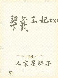 契丹王妃txt下载