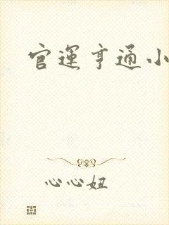 官运亨通小说
