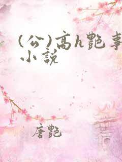 (公)高h艳事小说