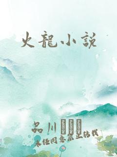 火龙小说