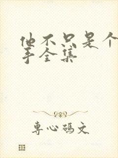 他不只是个狙击手全集