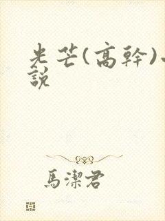 光芒(高干)小说