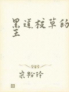 黑道校草的冷公主