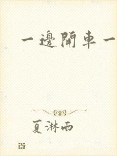 一边开车一边做