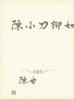 陈小刀柳如意