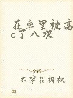 在车里被高潮被c了八次