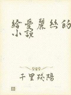 给爱丽丝的奇迹小说