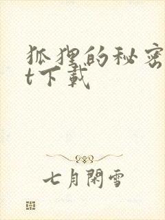 狐狸的秘密txt下载