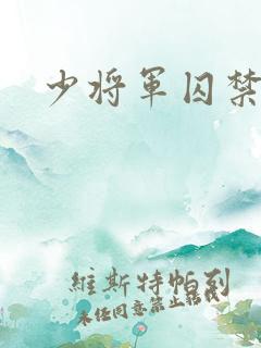 少将军囚禁我