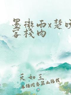 墨微雨x楚晚宁客栈肉