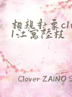 相亲对象c1v1江寓陆枝