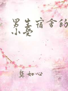 男生宿舍的公共小受